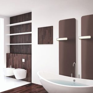 Curva electric radiator by Creative Radiators